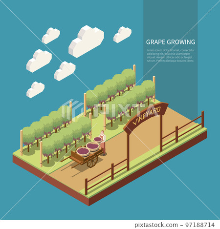 Wine Production Isometric Composition Wine Production Isometric Composition 97188714