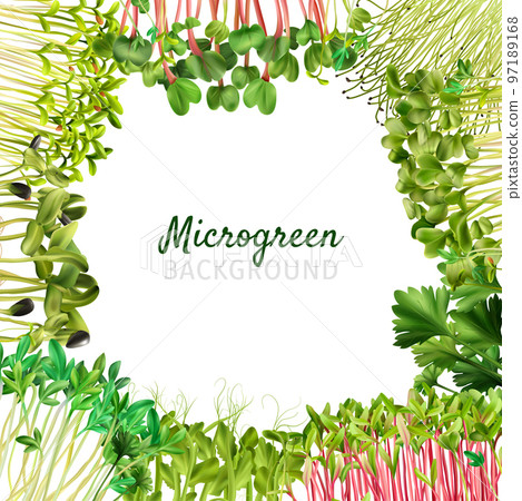 Healthy Nutrition Microgreens Frame 97189168