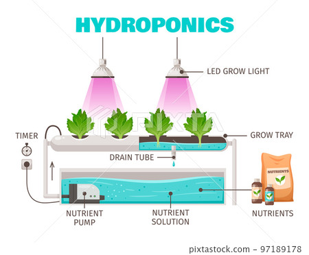Hydroponics Farming Concept 97189178
