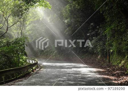 有晨光的山路 有晨光的山路 97189200