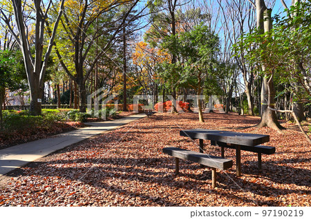 埼玉縣上尾市上尾丸山公園風景 97190219