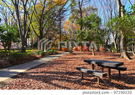 埼玉縣上尾市上尾丸山公園風景 97190220