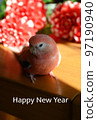 New Year's card material parakeet and dahlia 97190940