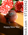 New Year's card material parakeet and dahlia 97190942