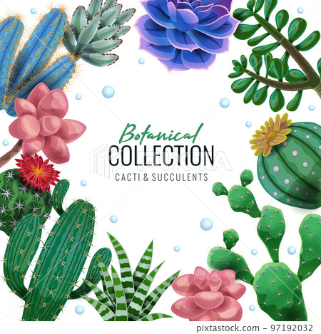 Botanical Collection Frame Composition 97192032