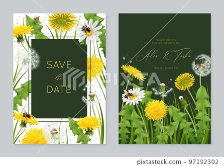Realistic Dandelions Posters Set 97192302