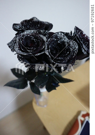 黑玫瑰花束 4 朵閃粉玫瑰 黑玫瑰花束 4 朵閃粉玫瑰 97192681