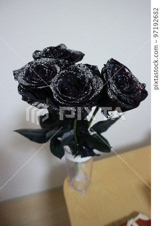 黑玫瑰花束 4 朵閃粉玫瑰 黑玫瑰花束 4 朵閃粉玫瑰 97192682