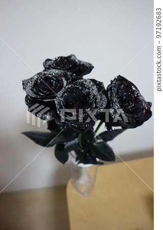 黑玫瑰花束 4 朵閃粉玫瑰 97192683