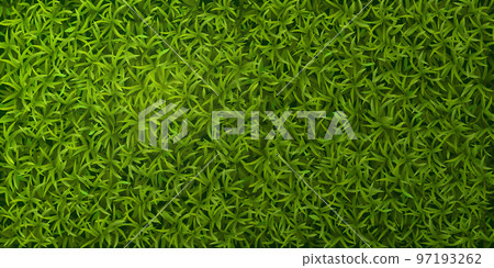 Green Grass Realistic Background 97193262