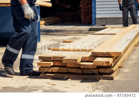 Workers wear wooden planks on sawmill or in carpentry shop. Authentic workflow. Timber harvesting 97193472