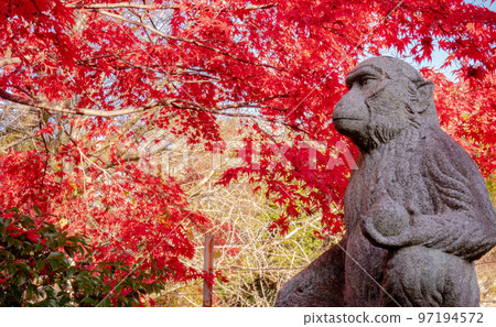 大月市猿橋的秋天景色 2022 97194572