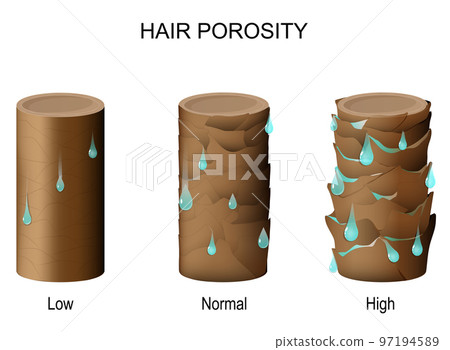 hair porosity. Part of hair with water drops. 97194589