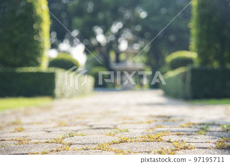 Blur background green park garden nature bright sunny forest. Blurry outdoor park in spring time glowing shinny day template with sunlight bokeh. Abstract blurred background banner copy space. Blur background green park garden nature bright sunny forest. Blurry outdoor park in spring time glowing shinny day template with sunlight bokeh. Abstract blurred background banner copy space. 97195711