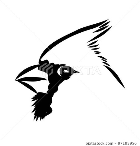 Cardinal bird sketch, vector illustration. Hand drawn red cardinal bird. Engraved illustration. Cardinal bird sitting on a branch. Hand drawn sketch. Cardinal bird sketch, vector illustration. Hand drawn red cardinal bird. Engraved illustration. Cardinal bird sitting on a branch. Hand drawn sketch. 97195956