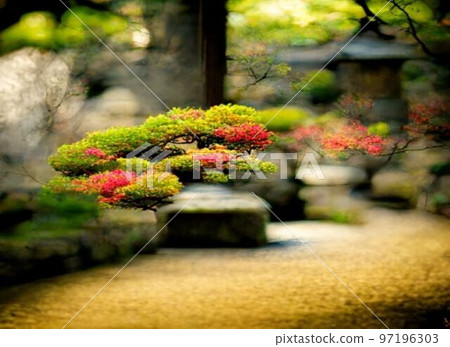 石頭長出花的園林風光 石頭長出花的園林風光 97196303