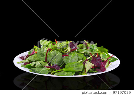 A fresh salad from spinach, arugula and romaine at the black background 97197059
