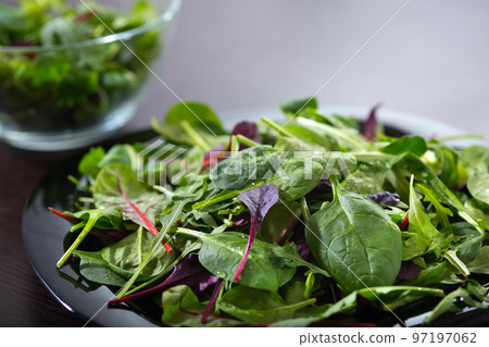 Fresh green salad leaves, a close-up. A notion of healthy meals 97197062