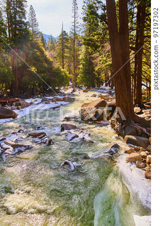 Yosemite turquoise waters cascading over frosty rocks in pine tree forest 97197302