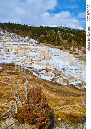Yellowstone Mammoth Hot Spring terraces covered in snow 97197405