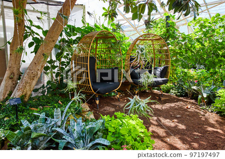 Two chairs inside greenhouse gardens 97197497