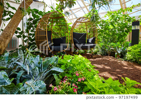 Two chairs peacefully sitting in lush gardens of greenhouse 97197499