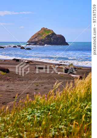 View of sandy beach from grasses with waves and large rocks View of sandy beach from grasses with waves and large rocks 97197559
