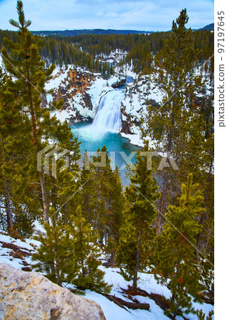 View of Lower Falls in Yellowstone winter through pine trees View of Lower Falls in Yellowstone winter through pine trees 97197645