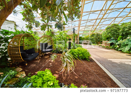 Path in greenhouse gardens with two chairs and glass roof 97197773