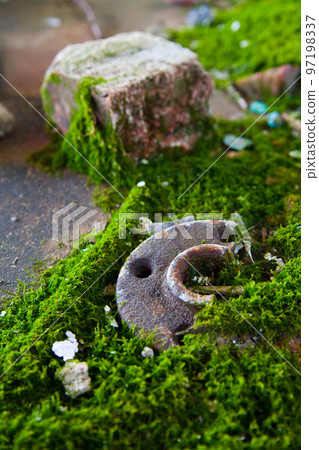 Cinderblock and machinery overgrown with green mosses 97198337