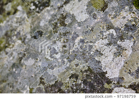 Textured and multicolored rock background Textured and multicolored rock background 97198759