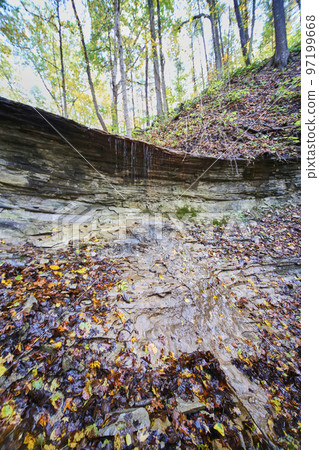 Fall leaves by small waterfall dripping over rock slate 97199668