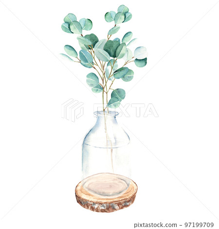 Eucalyptus branch in vase, jar on round wooden saw cut. Watercolor hand drawn botanical illustration isolated on white background. Eco minimalistic style for greeting card, poster, textile prints. Eucalyptus branch in vase, jar on round wooden saw cut. Watercolor hand drawn botanical illustration isolated on white background. Eco minimalistic style for greeting card, poster, textile prints. 97199709