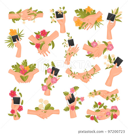Hands Holding Flowers and Rhoto Card Big Vector Set Hands Holding Flowers and Rhoto Card Big Vector Set 97200723
