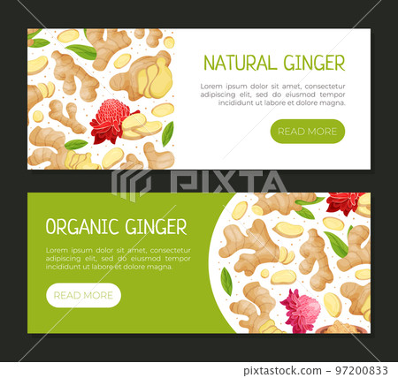 Organic Ginger Design with Root and Blooming Flower Vector Template 97200833