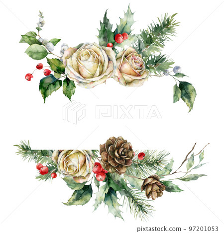 Watercolor Christmas horizontal frame of white rose, holly, pine branch and leaves. Hand painted holiday card of plants isolated on white background. Illustration for design, print, background. 97201053