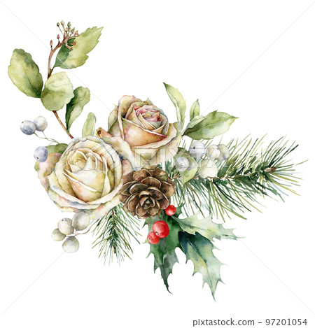 Watercolor Christmas bouquet of rose, fir branches, holly and leaves. Hand painted holiday card of flowers and plants isolated on white background. Illustration for design, print or background. Watercolor Christmas bouquet of rose, fir branches, holly and leaves. Hand painted holiday card of flowers and plants isolated on white background. Illustration for design, print or background. 97201054