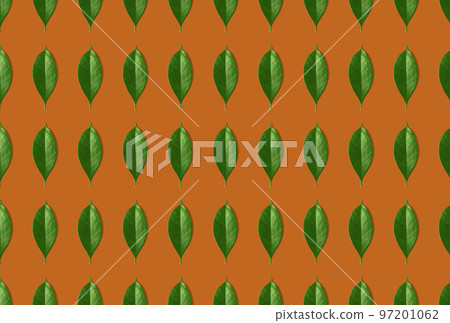 Creative seamless pattern of green leaves on orange background. Creative design in flat lay style. Top view. Mock-up. Creative seamless pattern of green leaves on orange background. Creative design in flat lay style. Top view. Mock-up. 97201062