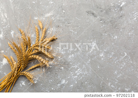 Sheaf of wheat ears close up and seeds on colored background. Natural cereal plant, harvest time concept. Top view, flat lay with copy space. world wheat crisis Sheaf of wheat ears close up and seeds on colored background. Natural cereal plant, harvest time concept. Top view, flat lay with copy space. world wheat crisis 97202118