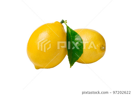 fresh lemon citrus fruit isolated on white background top view fresh lemon citrus fruit isolated on white background top view 97202622