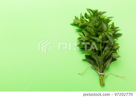 Fresh mint bunch on colored table. Top view with copy space 97202770