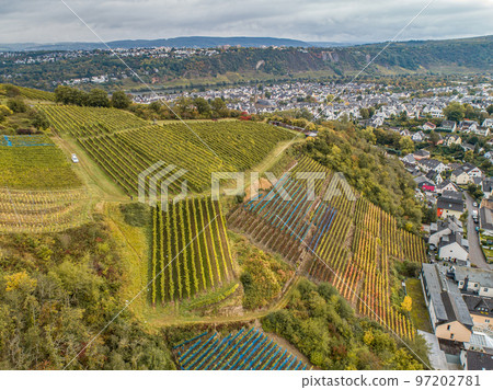 Aerial view Famous German Wine Region Moselle River Lay and Guels village Autumn Fall colors 97202781