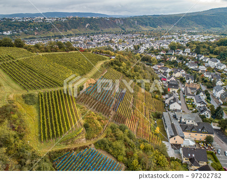 Aerial view Famous German Wine Region Moselle River Lay and Guels village Autumn Fall colors 97202782