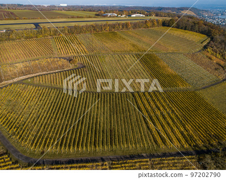Aerial view Famous German Wine Region Moselle River Lay and Guels village Autumn Fall colors Aerial view Famous German Wine Region Moselle River Lay and Guels village Autumn Fall colors 97202790
