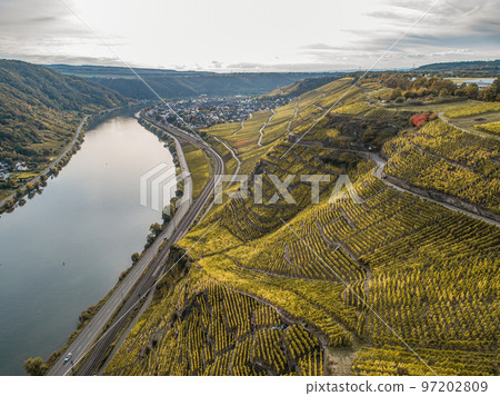 Aerial view Famous German Wine Region Moselle River Lay and Guels village Autumn Fall colors Aerial view Famous German Wine Region Moselle River Lay and Guels village Autumn Fall colors 97202809