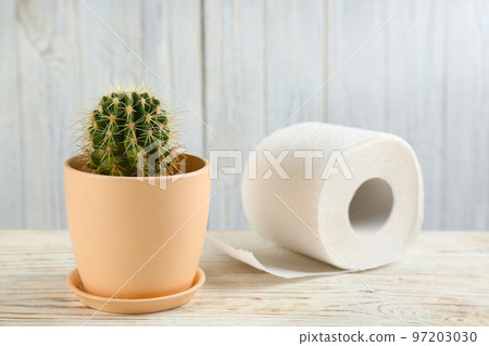 Cactus and roll of toilet paper on white wooden table. Hemorrhoid problems 97203030