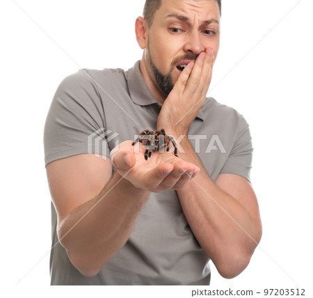 Scared man holding tarantula on white background. Arachnophobia (fear of spiders) Scared man holding tarantula on white background. Arachnophobia (fear of spiders) 97203512