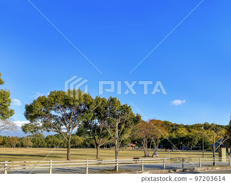 Autumn park 97203614