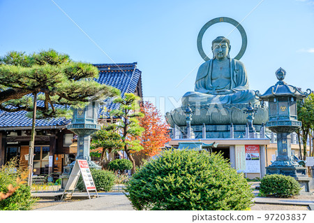 Autumn Takaoka Daibutsu Takaoka City, Toyama Prefecture 97203837
