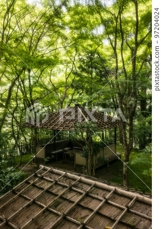 Fresh green and sunshine filtering through the trees coloring the rest area of Jingoji Temple in Kyoto Fresh green and sunshine filtering through the trees coloring the rest area of Jingoji Temple in Kyoto 97204024